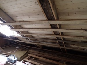 P7130760_800x600